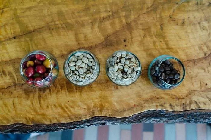 Coffee Farm Tour in Bogota