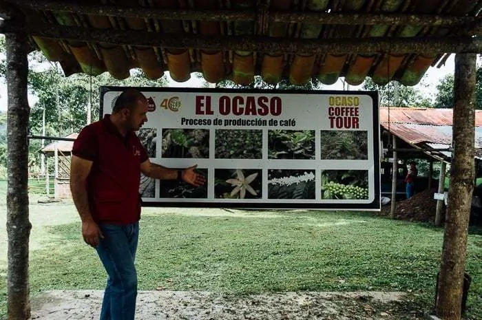 El Ocaso Coffee Farm Tour Salento Colombia