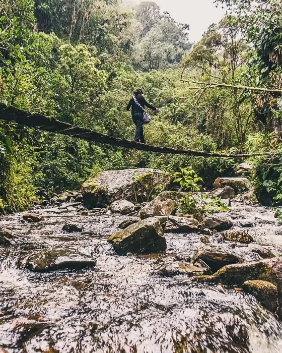 A hanging bridge in Cocora Valley