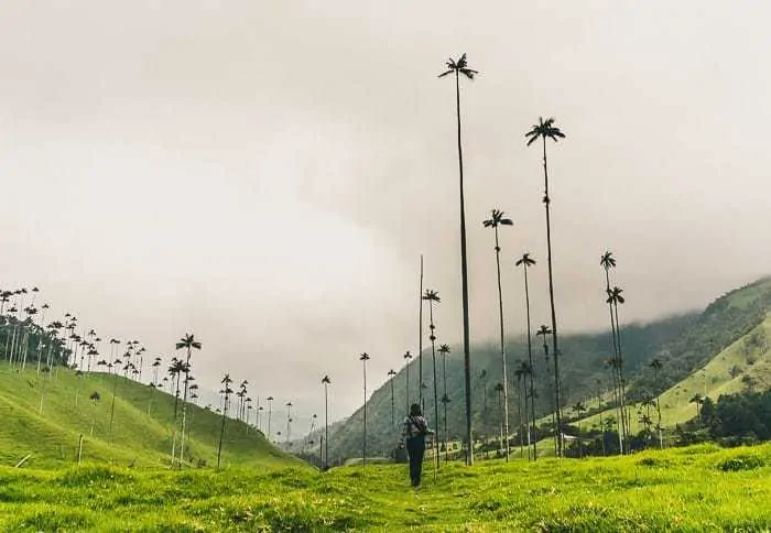Hiking in Cocora Valley near Salento, Colombia - Cocora Valley Hike