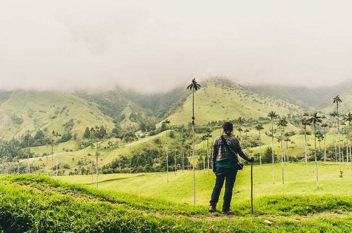 Hiking Colombia's Cocora Valley - What to Know Before You Go