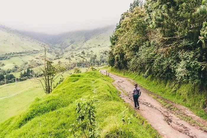 Hiking in Cocora Valley near Salento, Colombia