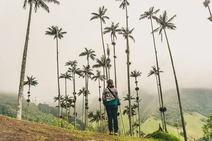 Hiking in Valle de Cocora near Salento, Colombia