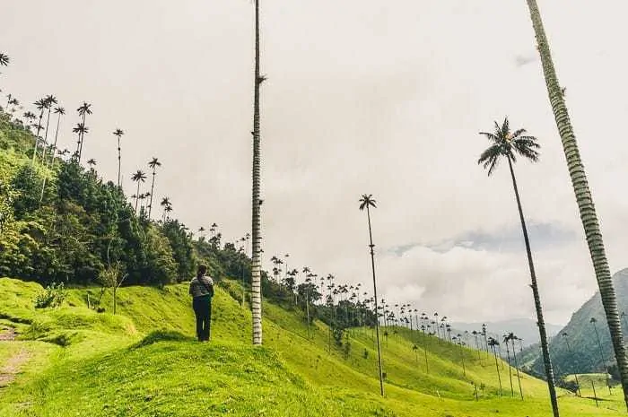 Hiking in Valle de Cocora near Salento, Colombia