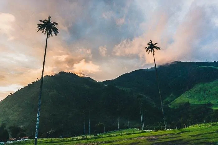 Hiking in Valle de Cocora near Salento, Colombia