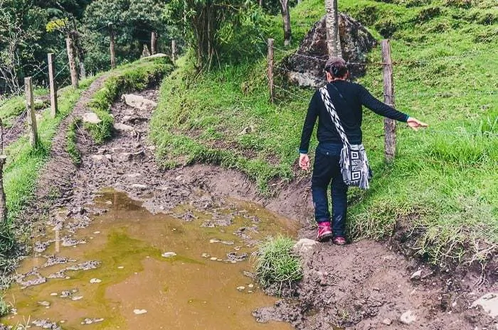 Hiking in Valle de Cocora near Salento, Colombia