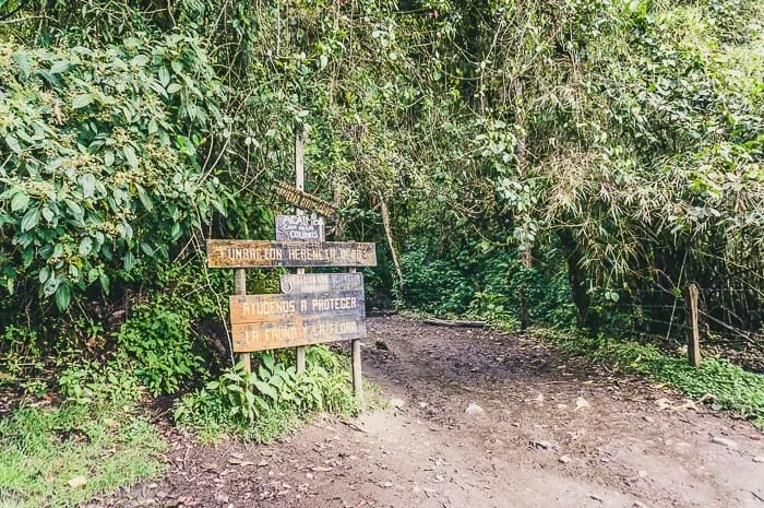 Hiking in Valle de Cocora near Salento, Colombia