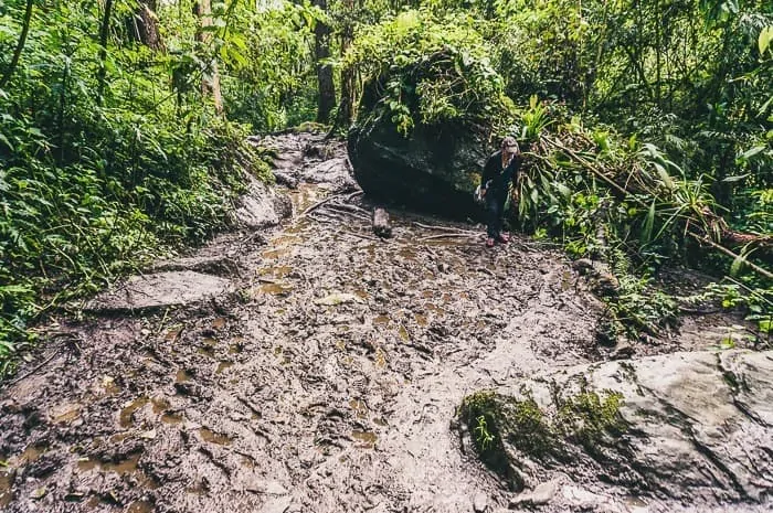 Hiking in Valle de Cocora near Salento, Colombia