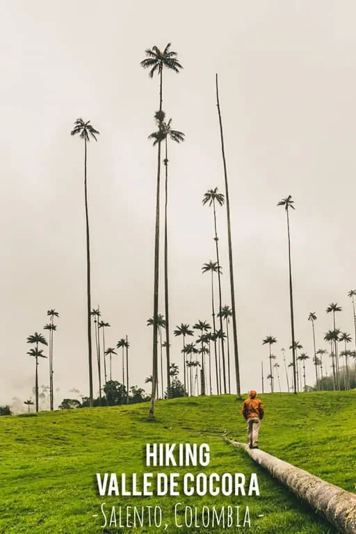 What you need to know before hiking in Valle de Cocora near Salento, Colombia