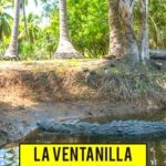 Ecotourism Among the Mangroves and Wildlife in La Ventanilla, Mexico travel, mexico, central-america