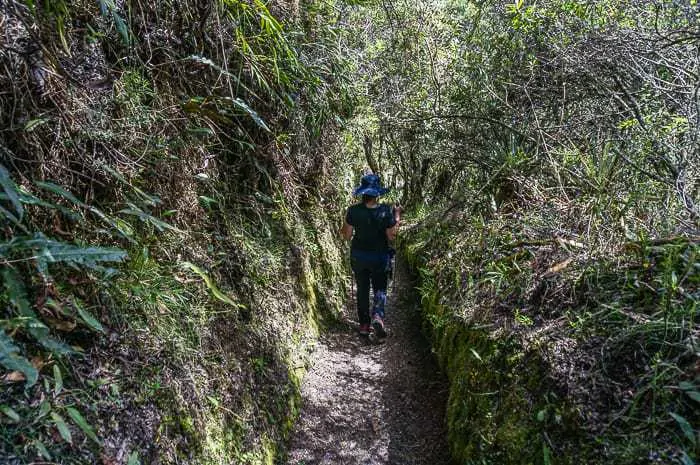 Hiking Around Laguna Cuicocha: Ecuador’s Guinea Pig Lake travel, south-america, ecuador