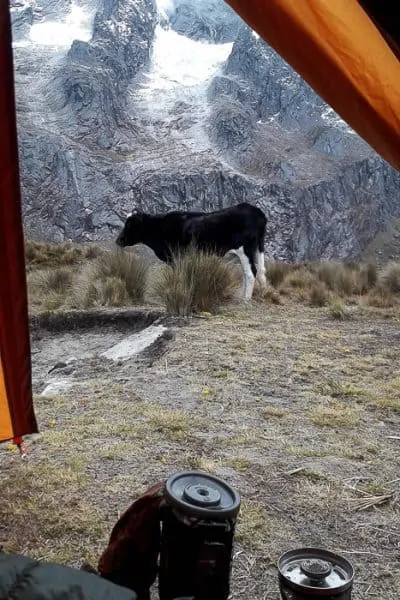 Hiking the Santa Cruz Trek in Peru’s Cordillera Blanca travel, south-america, peru