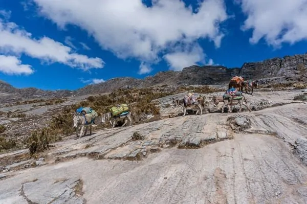 Paisaje - Santa Cruz Trek