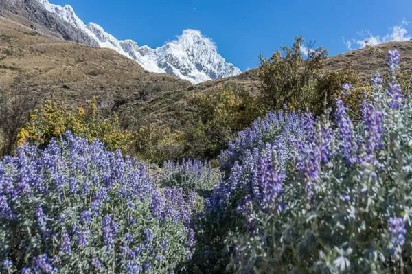 Paisaje - Santa Cruz Trek