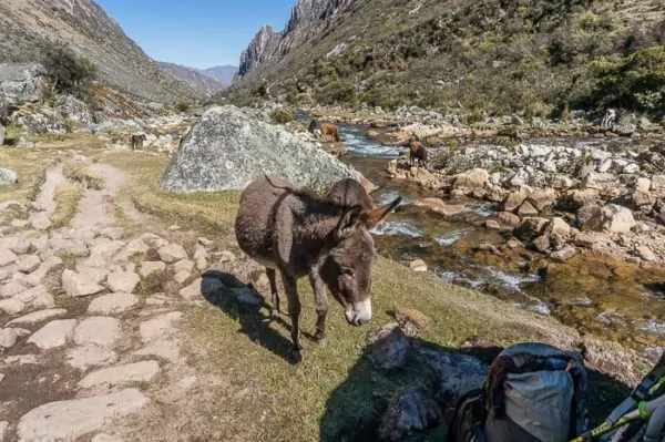 Hiking the Santa Cruz Trek in Peru’s Cordillera Blanca travel, south-america, peru