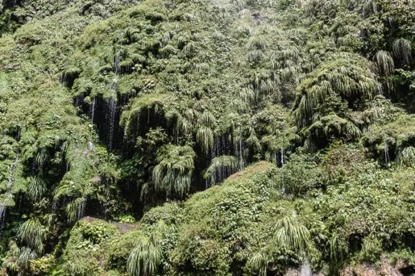 Visiting Mexico's Stunning Sumidero Canyon in Chiapas travel, mexico, central-america