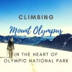 Climbing Mount Olympus in the Heart of Olympic National Park washington, trip-reports, alpine