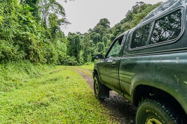 1991 Toyota Pickup Truck Hilux