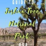 A Quick Guide to Joshua Tree National Park travel, north-america, california