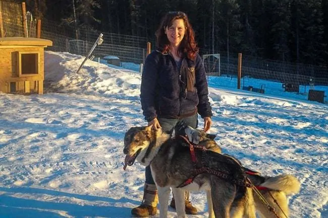 Alaska Dog Sledding Sirius Sled Dogs