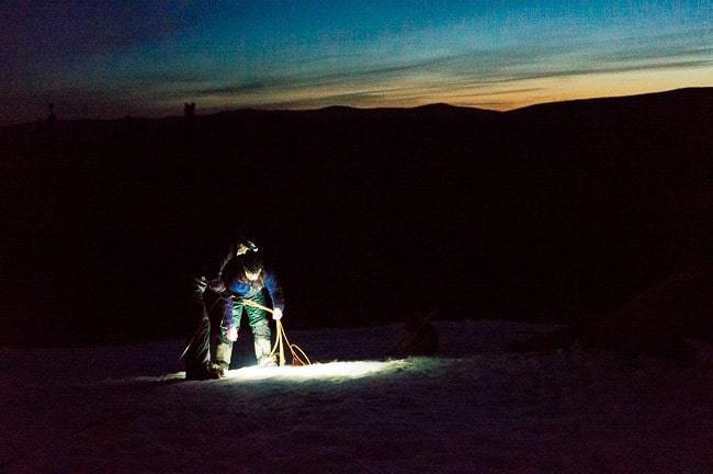 Alaska Dog Sledding Sirius Sled Dogs