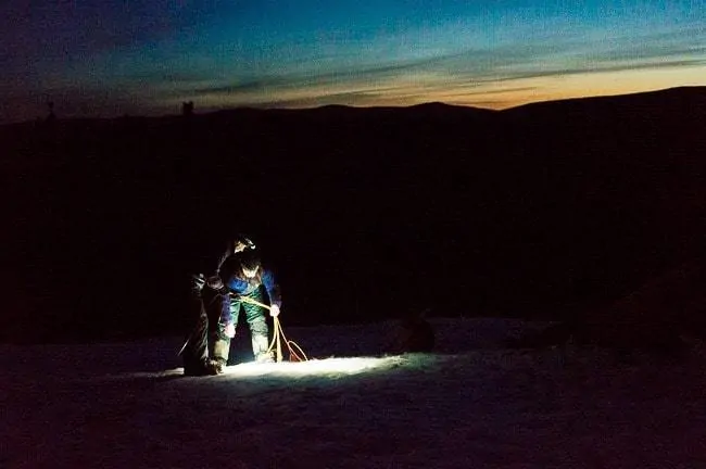 Alaska Dog Sledding Sirius Sled Dogs