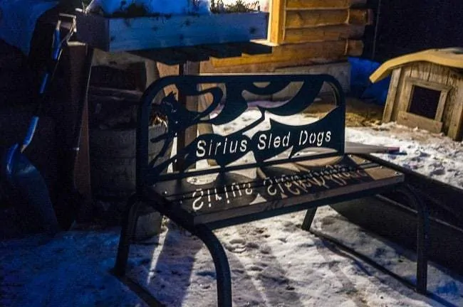 Alaska Dog Sledding Sirius Sled Dogs