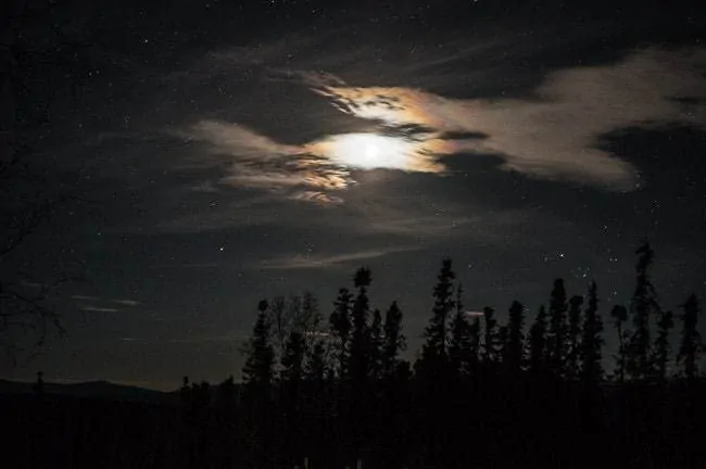 Alaska Dog Sledding Sirius Sled Dogs