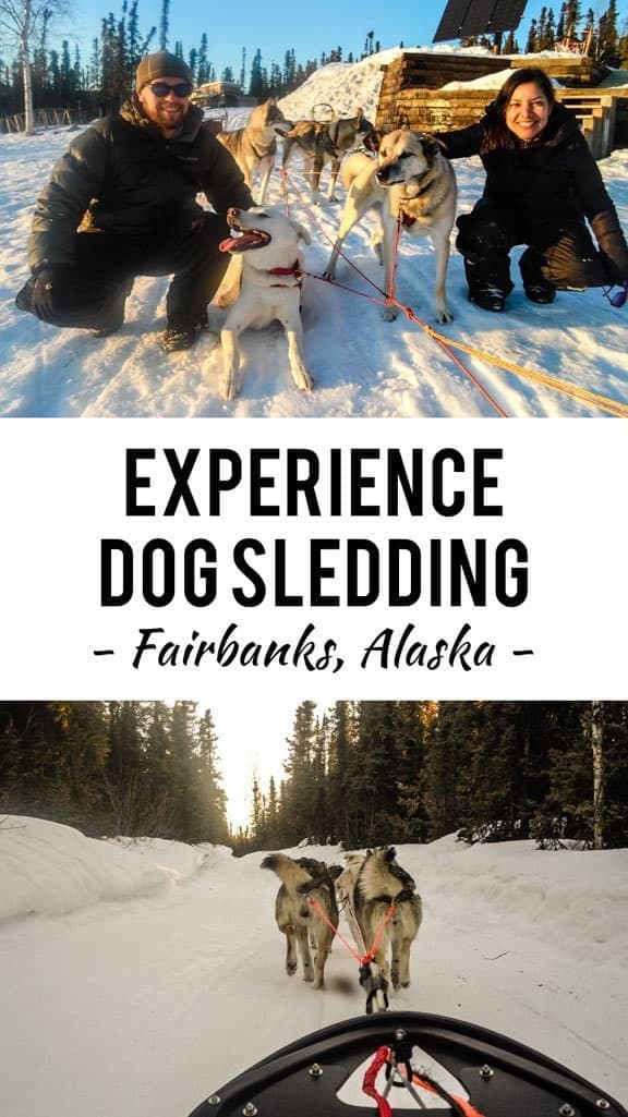 For many years I dreamed about what it would be like to experience Alaska dog sledding at some point in my life. Maybe it was too many Jack London books and film adaptations when I was young or maybe it’s something we all secretly long to do, at least once. For many years I dreamed about what it would be like to experience Alaska dog sledding at some point in my life. Maybe it was too many Jack London books and film adaptations when I was young or maybe it’s something we all secretly long to do, at least once.