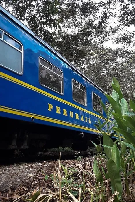 tren a Machu Picchu - cómo llegar a Machu Picchu