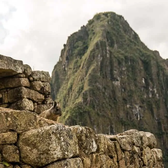 Machu Picchu - lugares turísticos en Perú