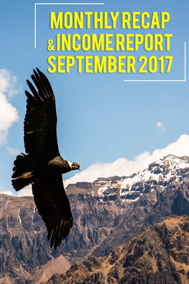 How much did I earn online while I was off visiting Machu Picchu, watching wild condors, or visiting my 20th country?