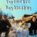 Experiencing Alaska Dog Sledding with Sirius Sled Dogs travel, north-america, alaska