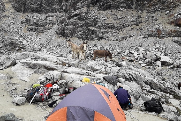 Climbing Yanapaccha Peru Cordillera Blanca