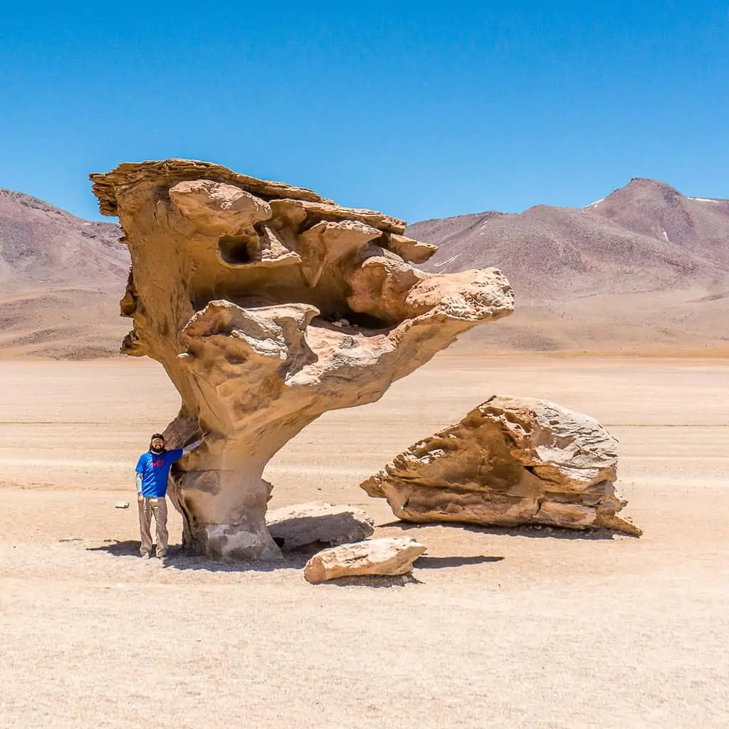 Lagunas Route in Bolivia - Piedra de Arbol