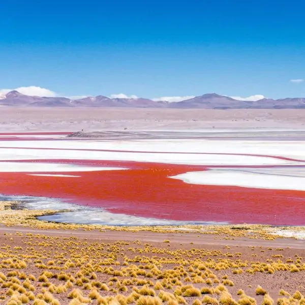 The Laguna Colorada in Bolivia's Lagunas Route