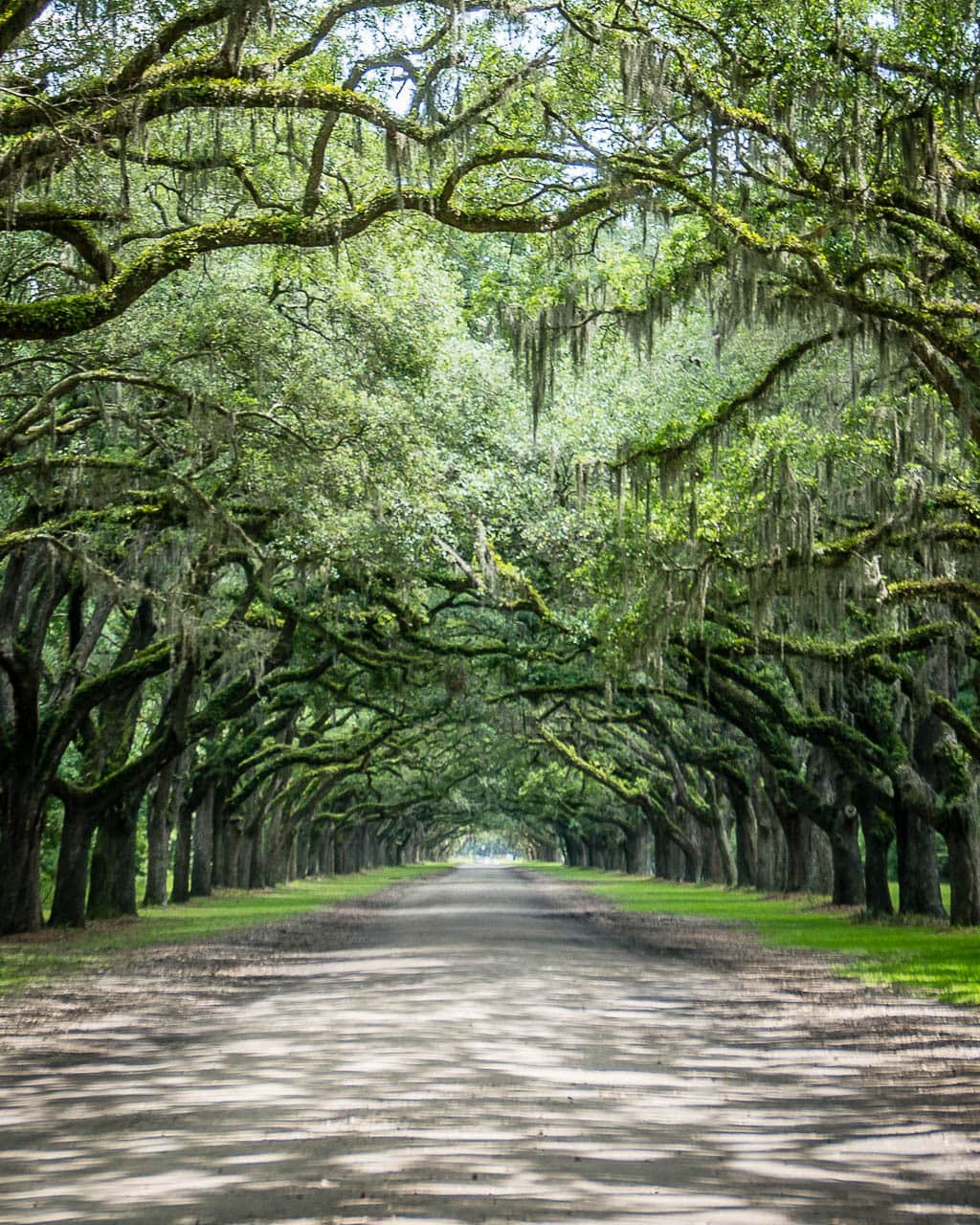 Womsloe near Savannah, Georgia