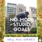 No More Stupid Goals: Why Are SMART Goals Important? armchair-alpinist