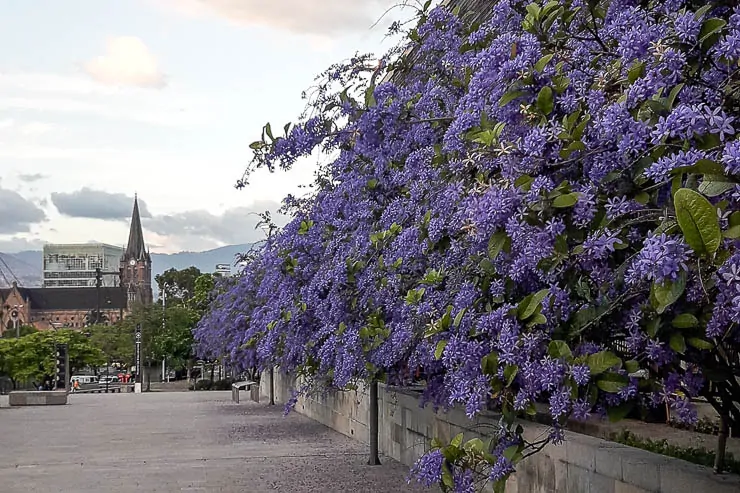 The Ultimate Guide to La Candelaria Medellin Centro travel, south-america, medellin, colombia