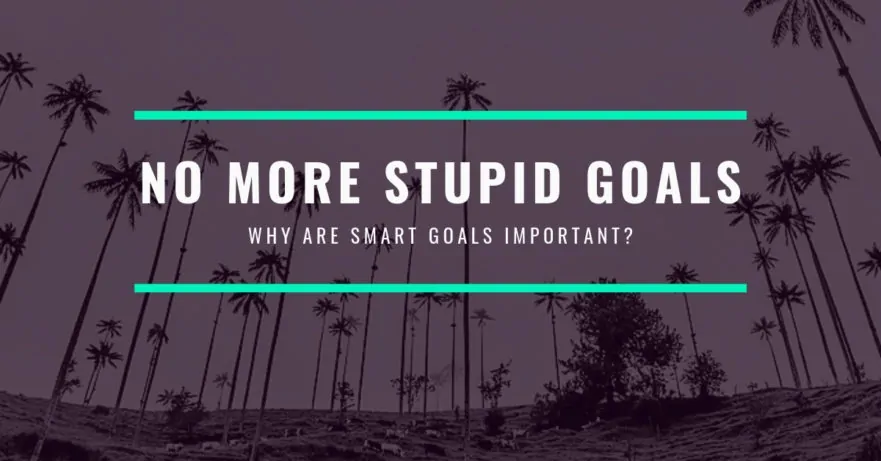 Why are smart goals important?