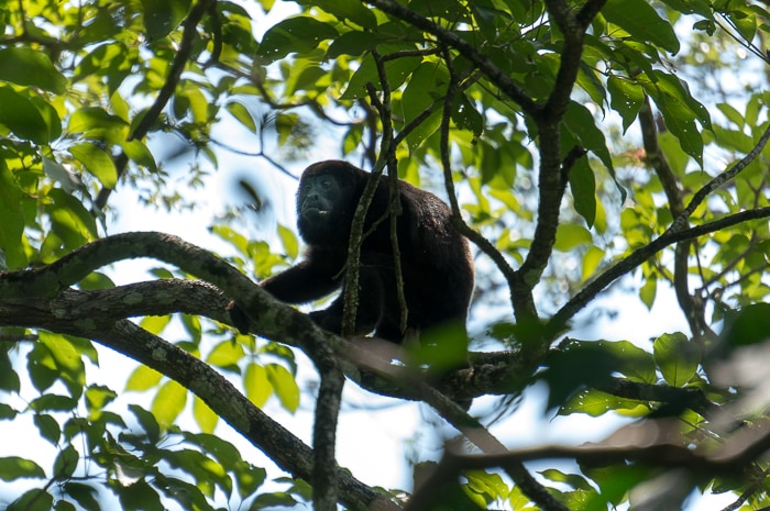 Central America Travel Myths