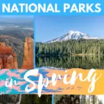 15 Best US national parks to visit in spring pinterest