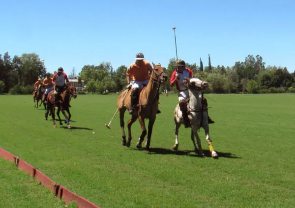 Buenos Aires Tours Polo Match