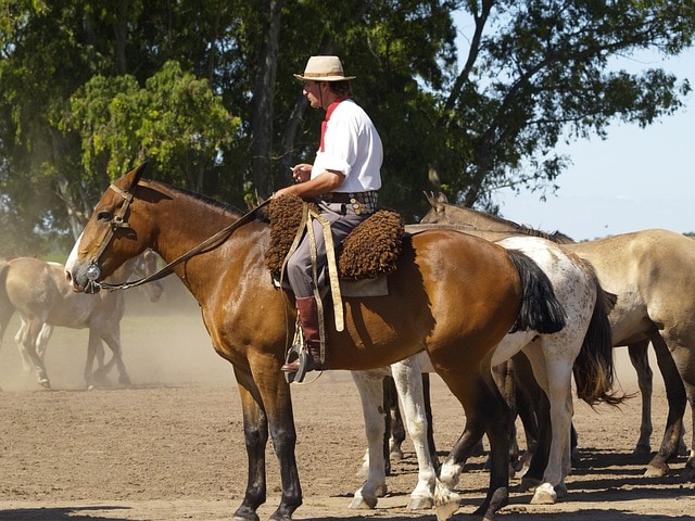 Buenos Aires Tours gauchos with horses