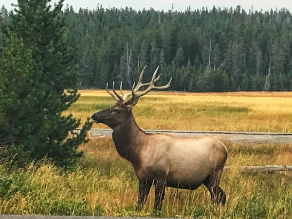 best US National Parks to Visit in Spring Grand Teton National Park Explore Now or Never