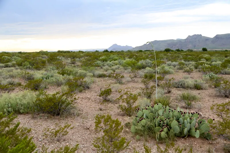 best US national parks to visit in spring Big Bend NP