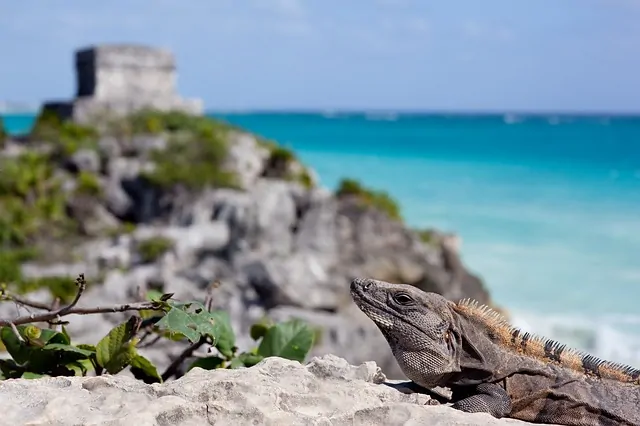 best tulum tours end pic