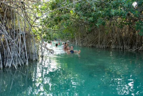 best tulum tours sian ka'an floating through mangroves