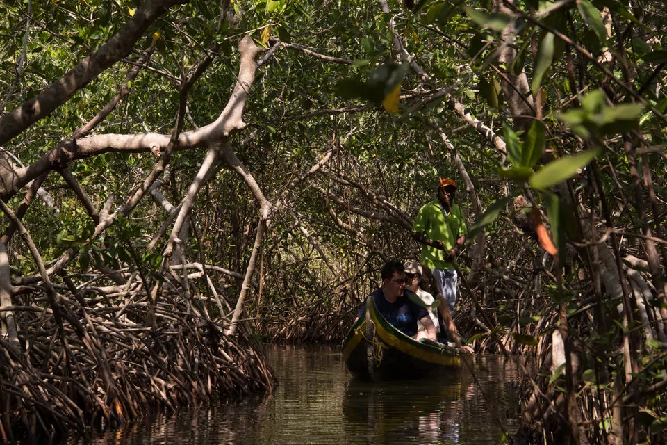 best cartagena beaches la boquilla canoe tour mangroves