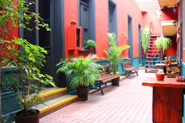 best lima hostels KACLLA The Healing Dog Hostel